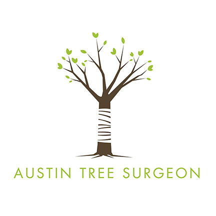 An image of the logo for Austin Tree Surgeon